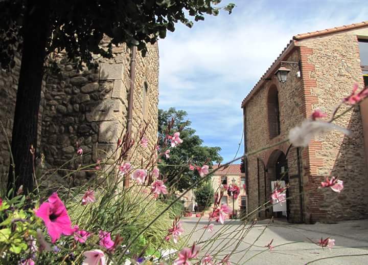 Point Tourisme Musée entrée