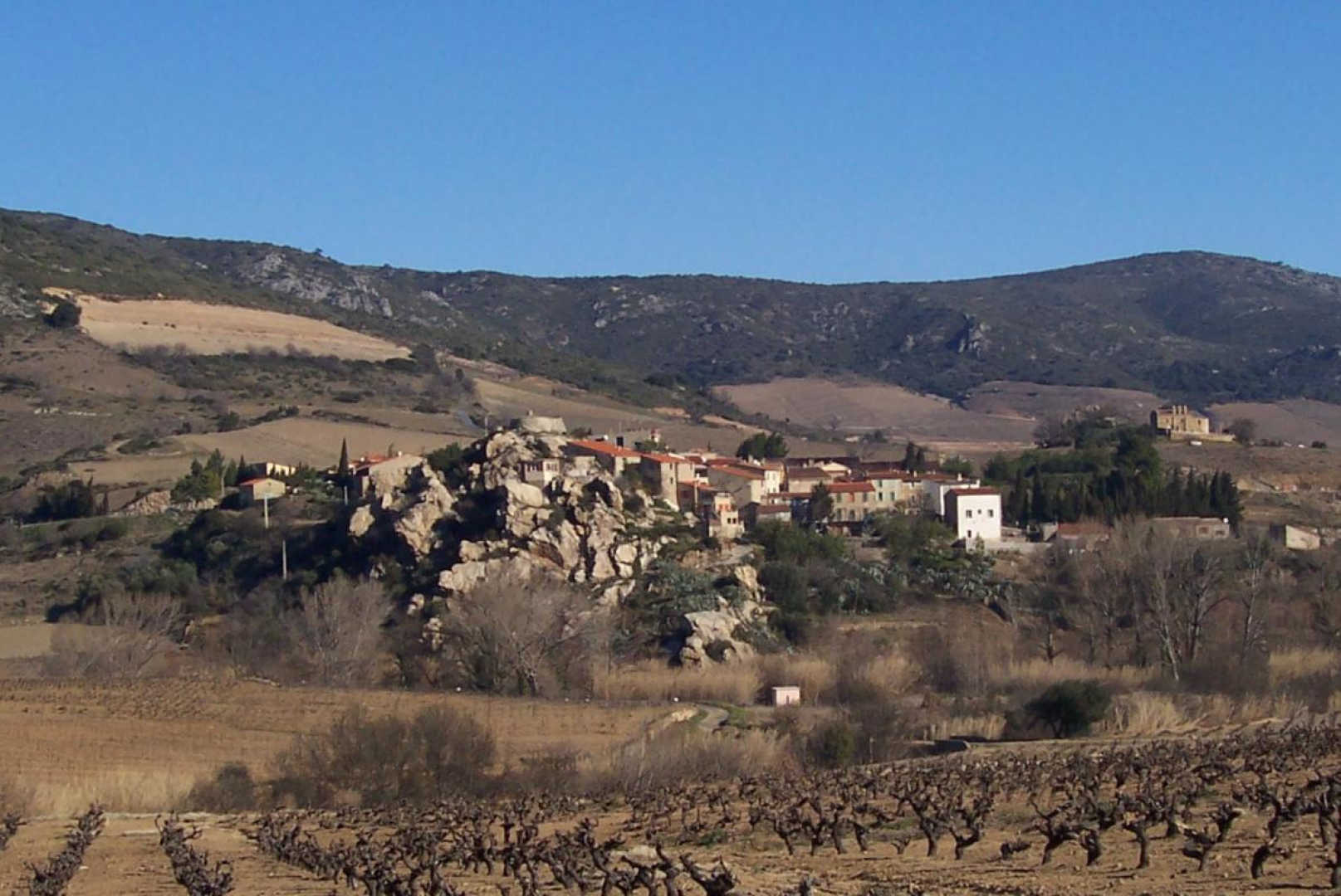 Carignan_6
