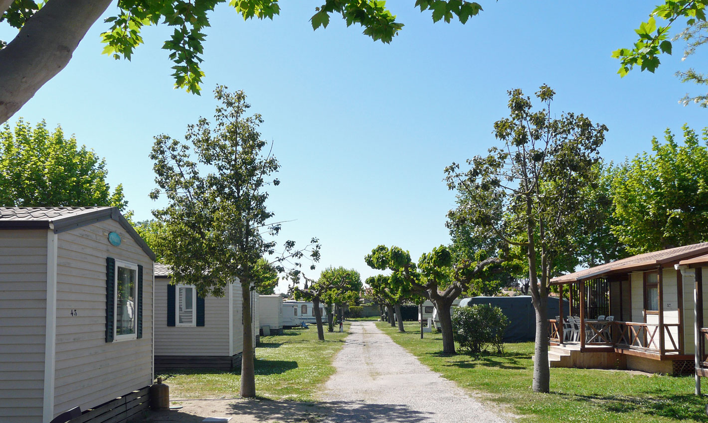 camping florida