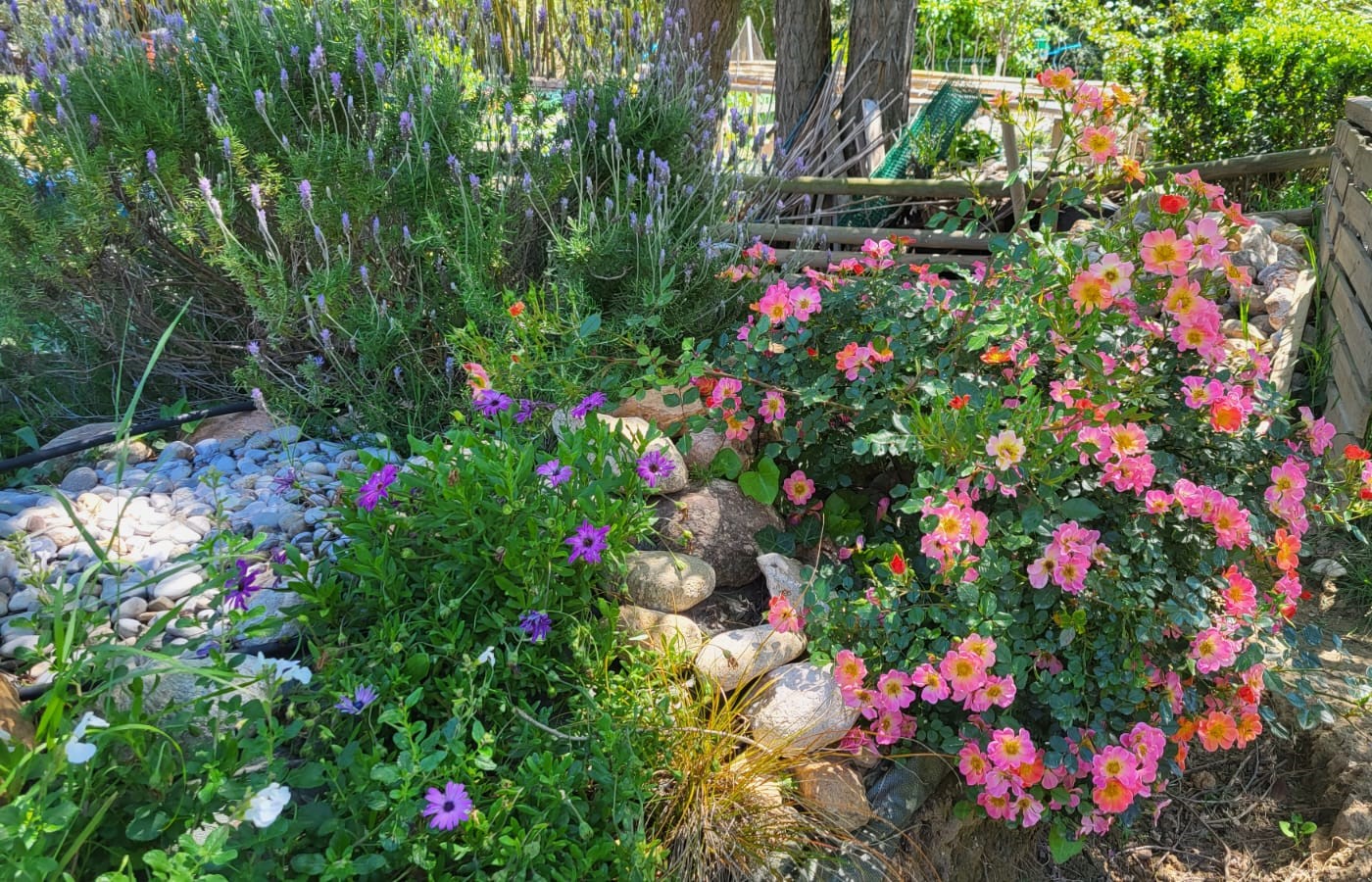 Jardin