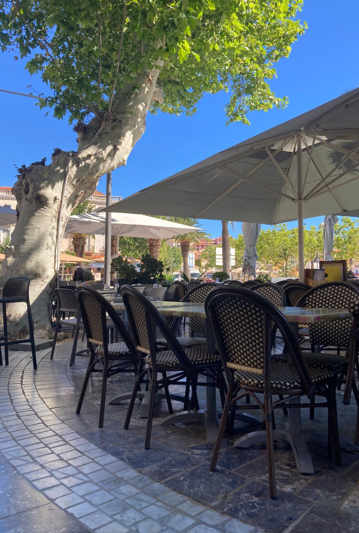 Maximo Café (1)