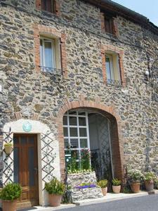 LES MIMOSAS - PRUGNANES