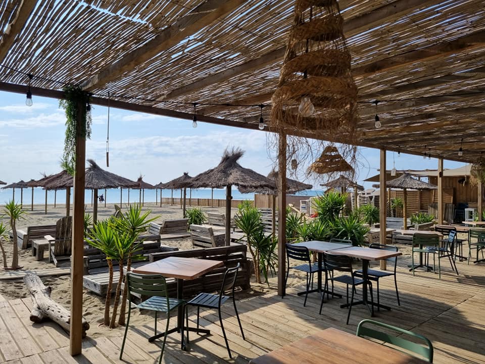 347228193-1609233546239687-8358448140813805109-n