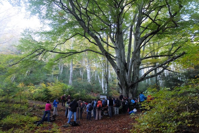 Le Fajas d'en Baillette