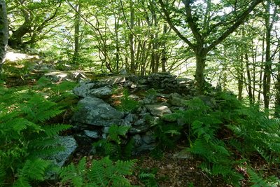 Vestiges d’une habitation temporaire