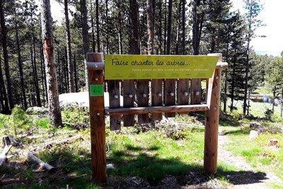 Sentier thématique de la forêt d'en Calvet