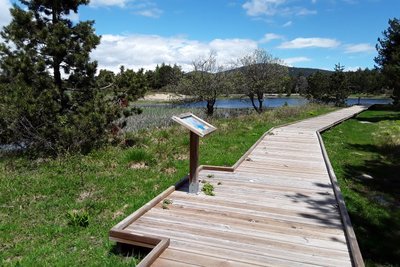 Platelage aux abords de l'étang de Calvet