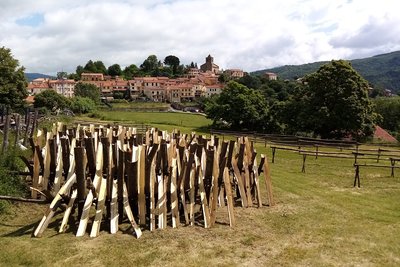 Aubier du tilleul sauvage du Roussillon