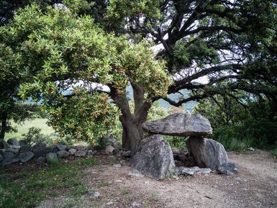 Les dolmens de Trilla