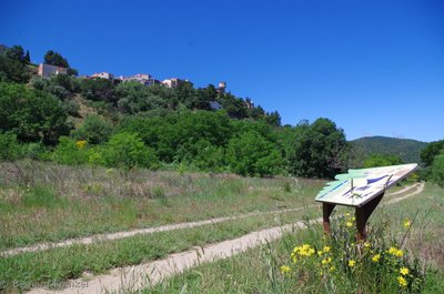 Vue sur le sentier des Oiseaux