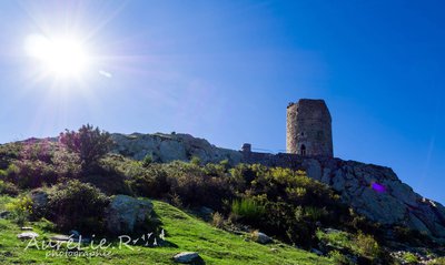 La tour de la Massane