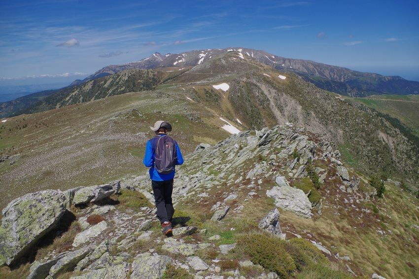 Puig de la Collada Verda