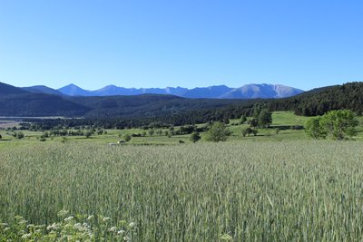 Prairies et cultures du Capcir