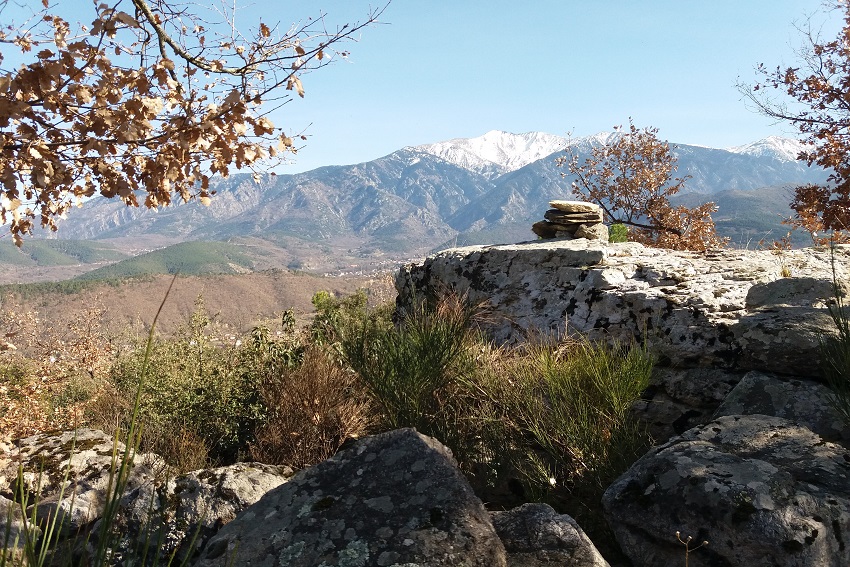 Vue sur le Canigó depuis Vall-Llobera