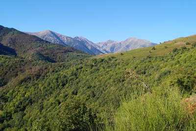 Vue sur le Coll Palomeres