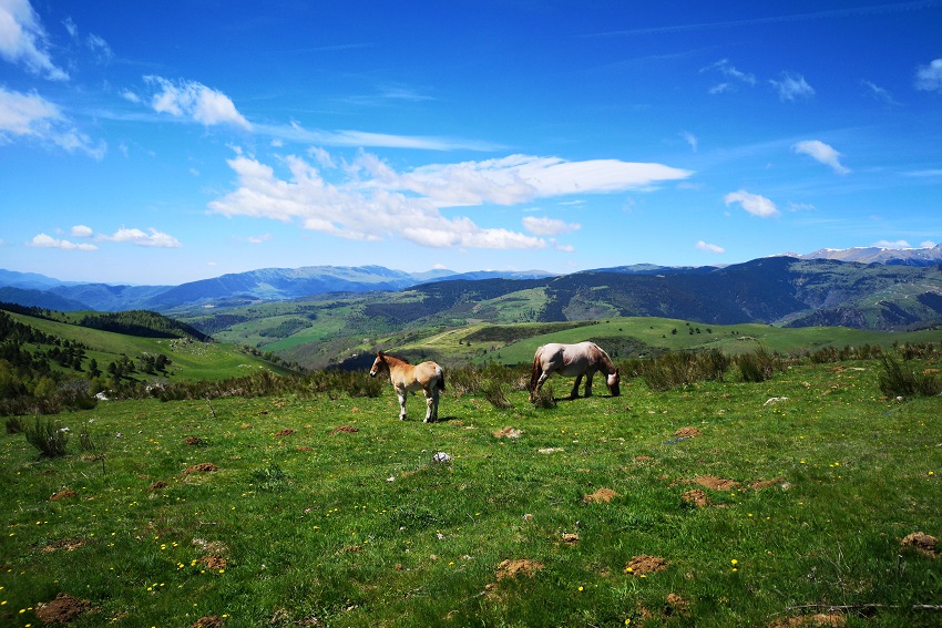 Vue sur le versant espagnol, Vall de Camprodon depuis la Collada de Prats