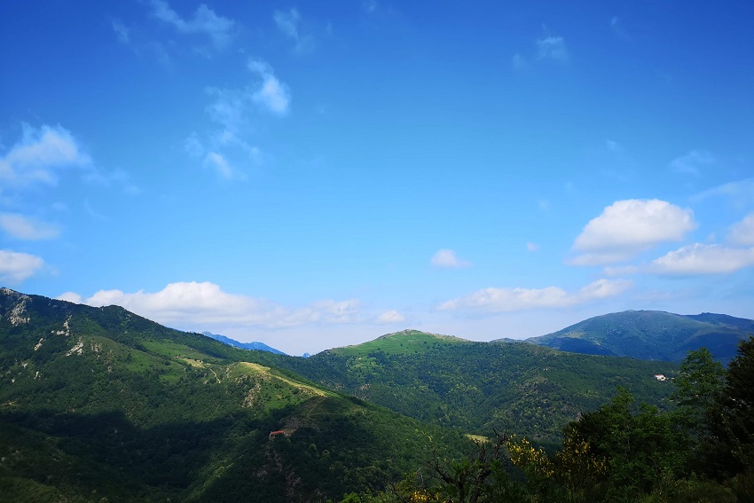 Vue sur le Coll Palomeres et Santa Anna dels Quatres Termes