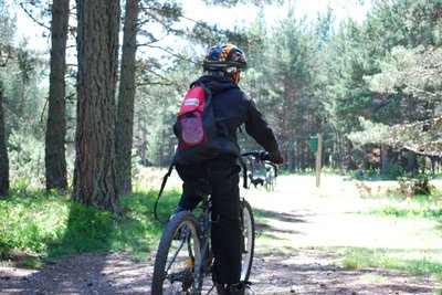 Forêt de la Mata