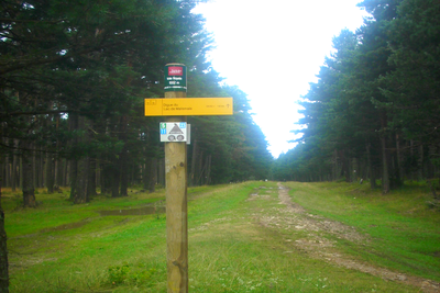 Parcours et signalétique dans la forêt de la Mata