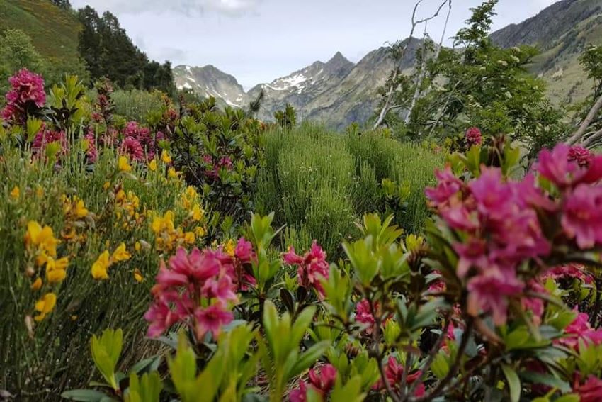 Vallée du Galbe