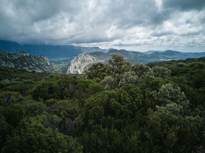 Vue sur le Fenouillèdes