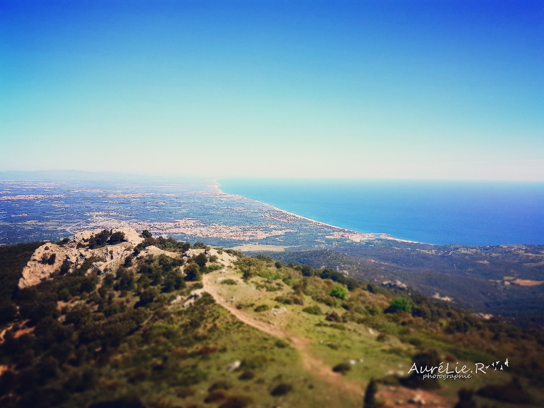 Panorama depuis la tour de la Massane