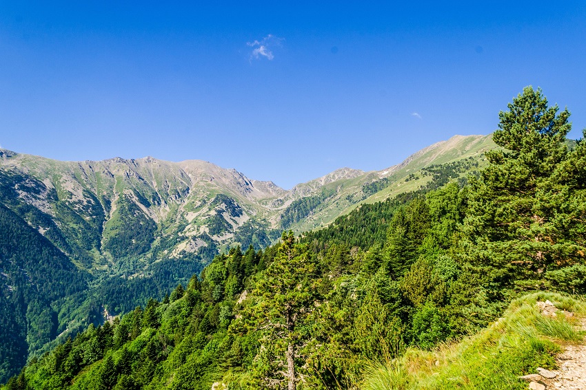 Vue sur la Canigó depuis le Bosc de Patriques