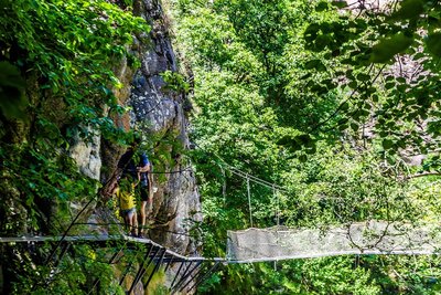 Passage sur les passerelles et ponts de singe