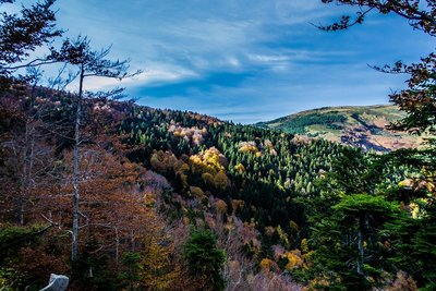 Vue automnale sur la forêt de Mosset