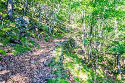 Sur le chemin de transhumance de Campilles