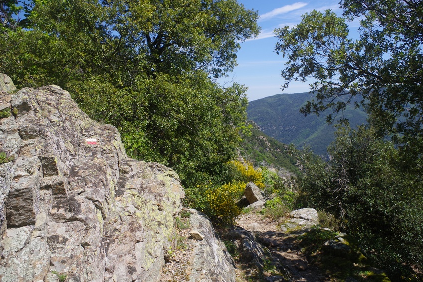 Coll de Paracolls