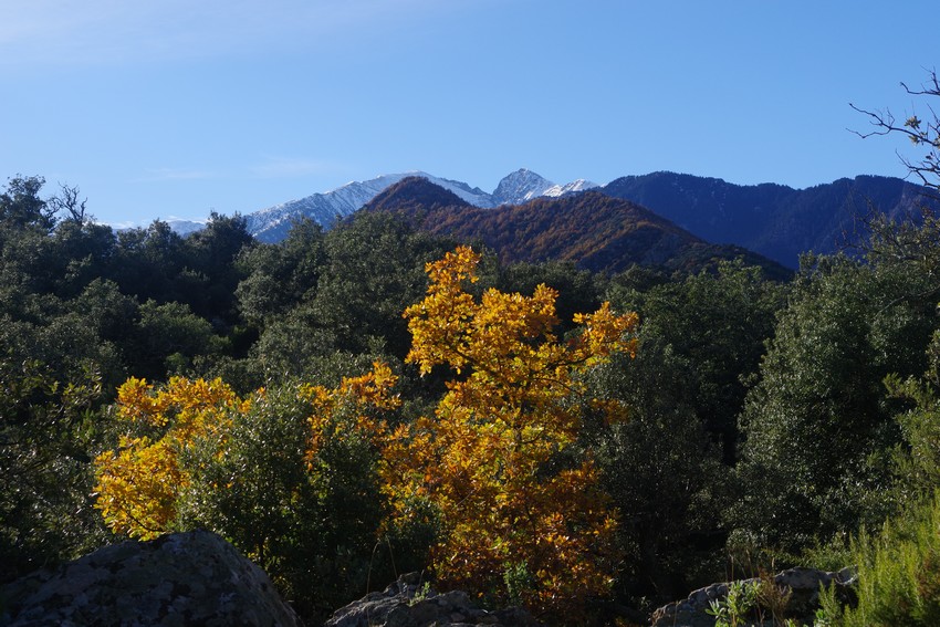 A proximité du Puig de Marbet, le Pic du Canigó drapé de ses premières neiges automnales