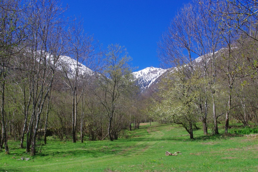 En route vers le Canigó depuis Els Masos