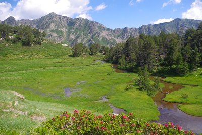 Vallée du Galbe