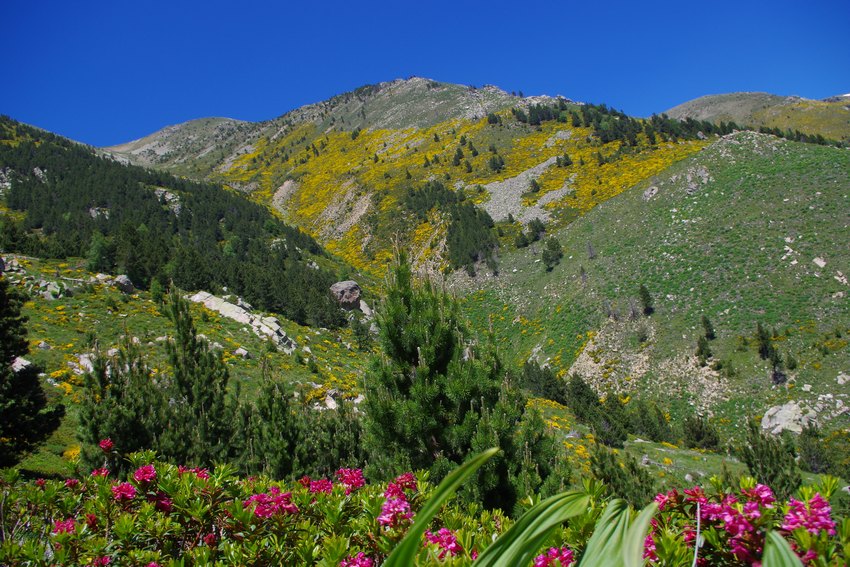 Puig Roja et Puig dels Tres Vents