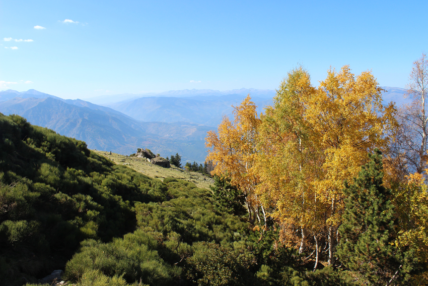 L'automne illumine le Canigó